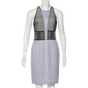 SACHIN + BABI Sleeveless Mesh Dress Sz Small NWOT
